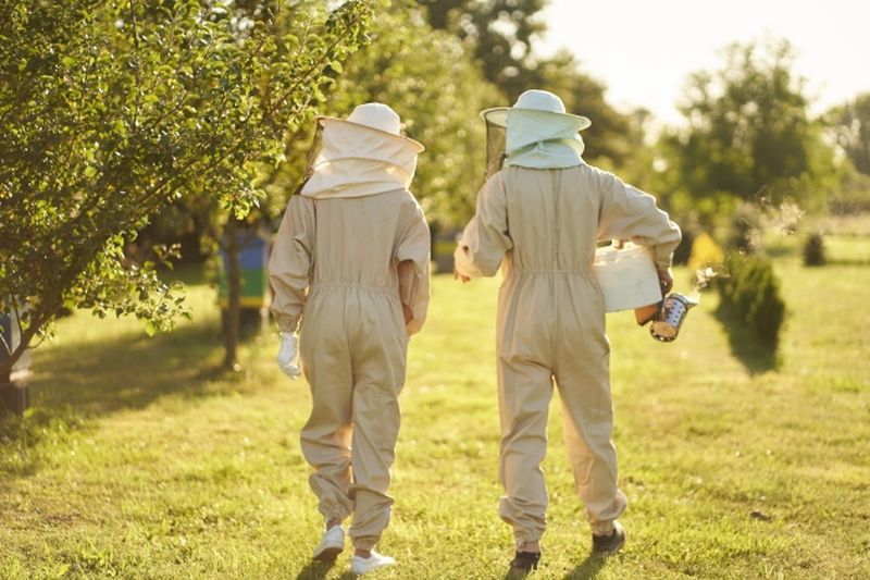 ハチ駆除の専門業者 - 近隣トラブル防止のため早期対応が重要